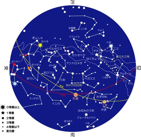 11月25日 星座|11/25是什麼星座？